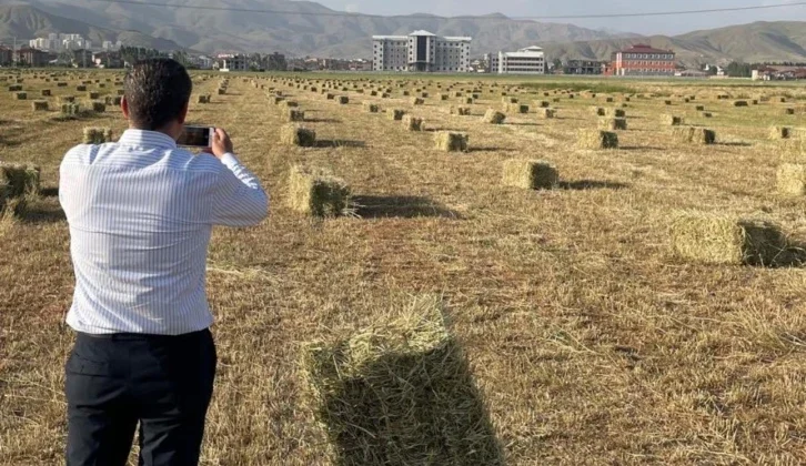 Yüksekova’da Yağışlar Tarımda Verimliliği Artırdı