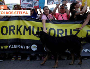 Yunanistan’dan Türkiye’deki Sokak Hayvanları İçin Destek Mesajı