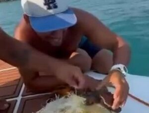 Alanya’da Çuvala Dolanan Caretta Caretta Yavrusu Kurtarıldı