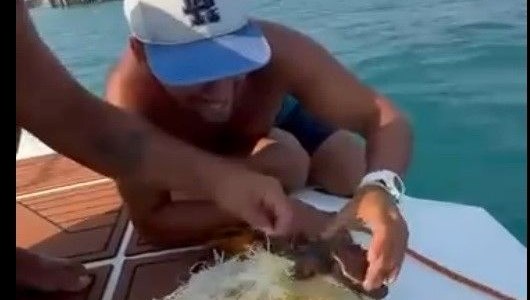 Alanya’da Çuvala Dolanan Caretta Caretta Yavrusu Kurtarıldı