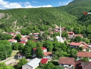 Almus’un Mutfak Mirası: Gelenekten Geleceğe Tadına Doyulmaz Yöresel Lezzetler