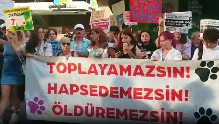 Ankara’da Sokak Köpeklerinin Toplatılmasına Protesto: Yasaya 20 Yıldır Uymayanlar, Bir Gecede Uymaya Karar Verdi