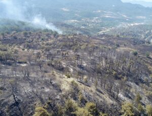 Bolu, Aydın ve İzmir Yamanlar’da Çıkan Yangınlarda Zarar Gören Alan Görüntülendi