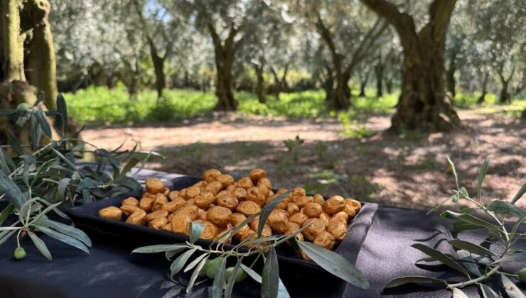 Bu da Oldu… Altın Kaplamalı Zeytin Yok Satıyor