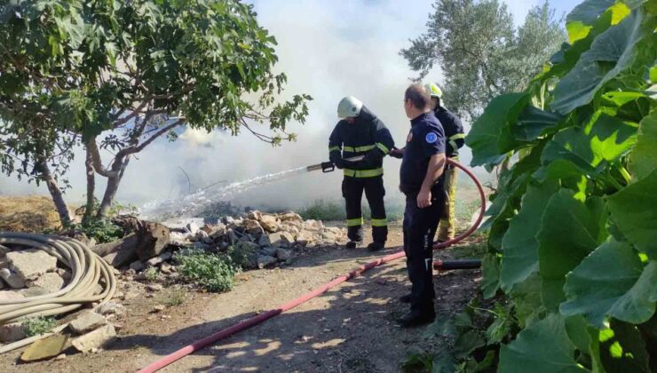 Bursa’da Saman Balyaları Alevlere Teslim Oldu