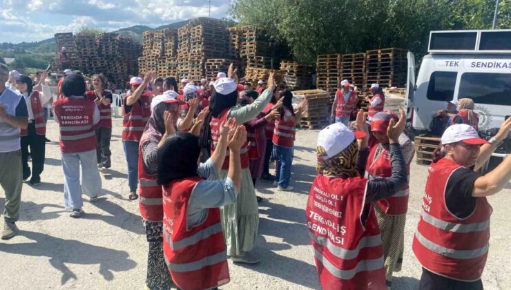 Çatalca’da Polonez Gıda Personelleri İşten Çıkarılmalarını Protesto Ediyor