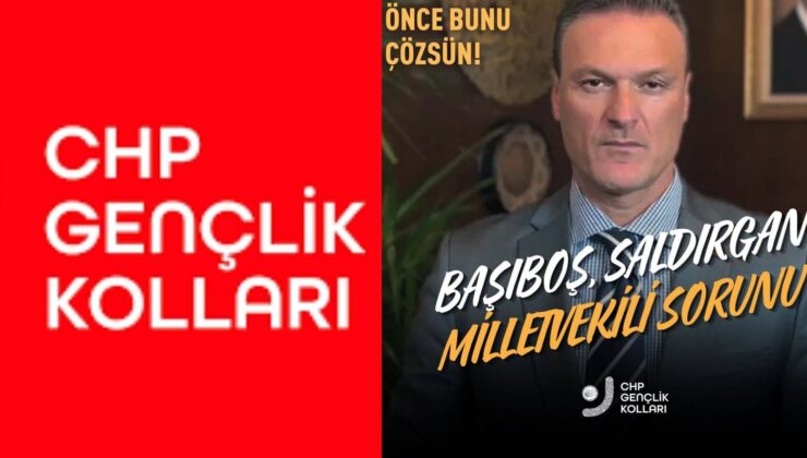 CHP Gençlik Kolları’ndan Alpay Özalan’a: Başıboş Saldırgan Milletvekili Sorunu