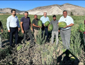 CHP’li: Karpuzun Maliyeti Beş Lira, Tüccar Bir Liraya Alıyor, Pazarda 15 Liraya Satıyor