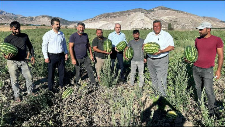 CHP’li: Karpuzun Maliyeti Beş Lira, Tüccar Bir Liraya Alıyor, Pazarda 15 Liraya Satıyor