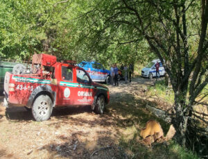 Domaniç’te Bulunan Ölü Köpeklerin İncelemesi Tamamlandı