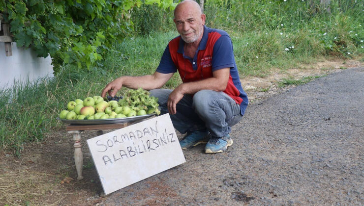 Emekli Tır Sürücüsü, Yetiştirdiği Meyve Zerzevatları Gelen Geçene Dağıtıyor