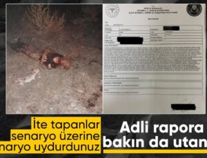 Fatih’te Başıboş Köpeklerin Saldırısında Ölen Kişinin Hastane Raporu Yayınlandı