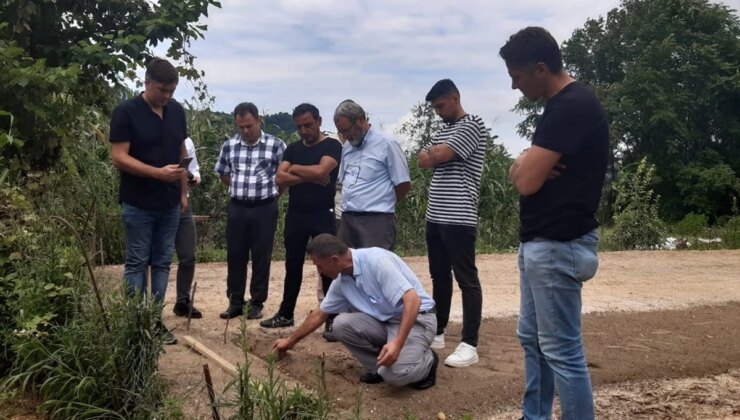 Giresun’da Salep Yetiştiriciliği İçin Çiftçilere Hibe Destekli Salep Yumrusu Dağıtıldı