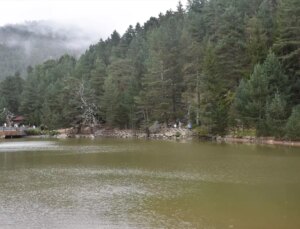 Gümüşhane’deki Limni Gölü Tabiat Parkı, Turistleri Ağırlamaya Devam Ediyor