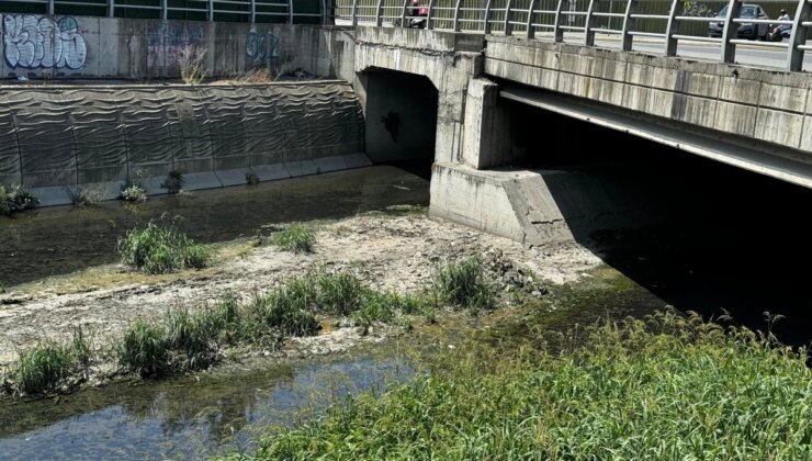 Hem Vatandaş Hem de Esnaf İsyanda! Alibeyköy Pazarında Kokudan Durulmuyor