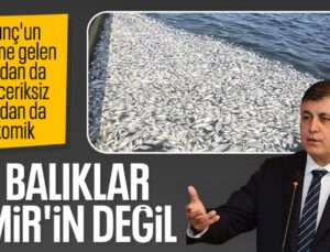 İzmir Büyükşehir Belediye Başkanı Cemil Tugay: Ölen Balıklar Buraya Ait Değil