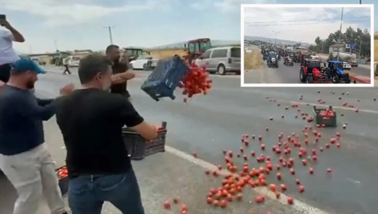 Kahramanmaraş’ta Çiftçiler Eylem Yaptı! Kasa Kasa Domatesi Yola Döktüler