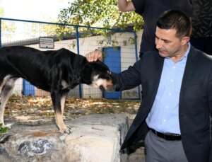 Kuşadası Belediye Başkanı: ‘Sokak Hayvanlarını Uyutmayız’