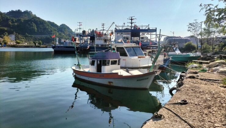 Ordulu Balıkçılar, Yeni Dönemde Palamuttan Umutlu