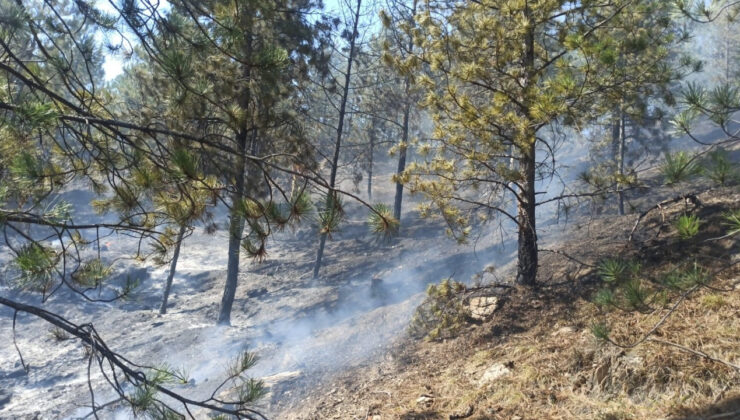 Orman Yangınları Sonrası Çıplak Kalan Arazi İçin Su Hasadı Önerisi