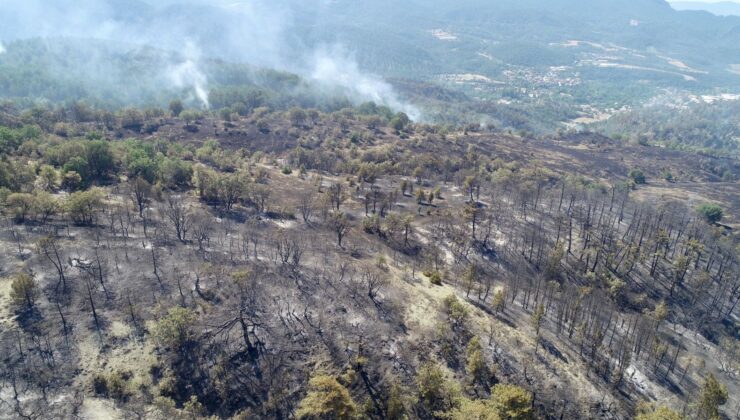 Orman Yangınlarından Etkilenen 441 Kişiye Psikososyal Destek