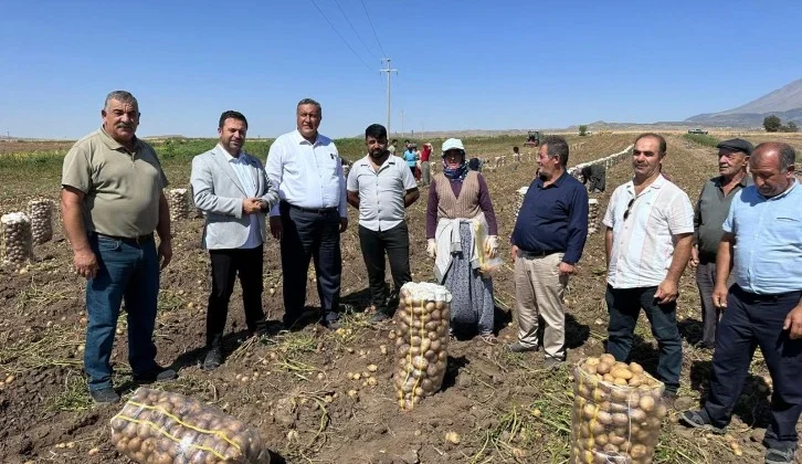 Patates Üreticisi: Hasadımız Yerde, Gübremizin Ücreti Ödenmiyor! Biz Bitiğiz…