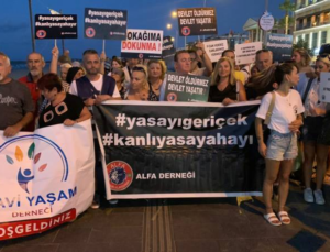 Samsun’da Yaşam Savunucuları: Sokak Hayvanları Katliamı Yapanların İki Yakası Bir Araya Gelmeyecek