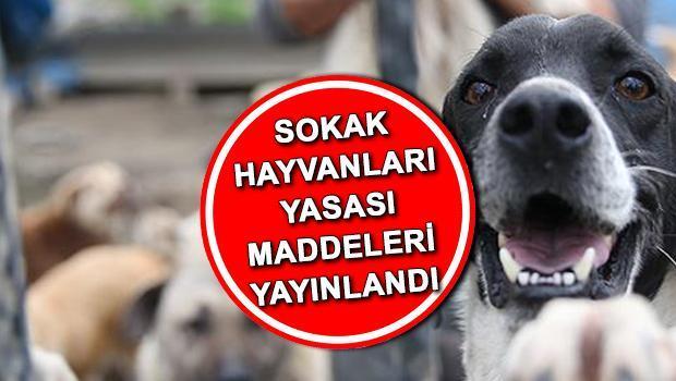 Sokak Hayvanları Kanunu Resmi Gazete’de Son Dakika | Sokak Hayvanları Yasası Yürürlüğe Girdi Mi, 5. Madde Nedir? İşte Hayvanları Koruma Kanunu Unsurlarının Tamamı!