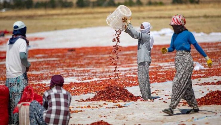 Tarım Çalışanlarının Göç Yolu Değişiyor: Yerel İstihdam İmkanları Artıyor