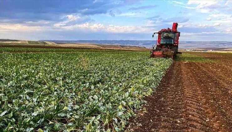 Tarlasını Ekemeyen Çiftçiye Yeni “Darbe”: Tarım Toprakları Kiralama Yönetmeliği