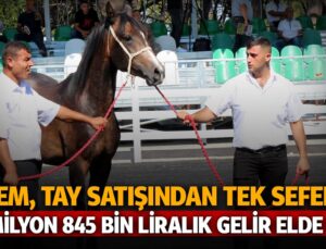 Tigem, Tay Satışından Tek Seferde 20 Milyon 845 Bin Liralık Gelir Elde Etti