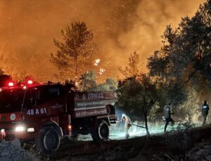 Türkiye’nin Ciğerleri Yanıyor: Yangınlara Müdahalede Son Durum