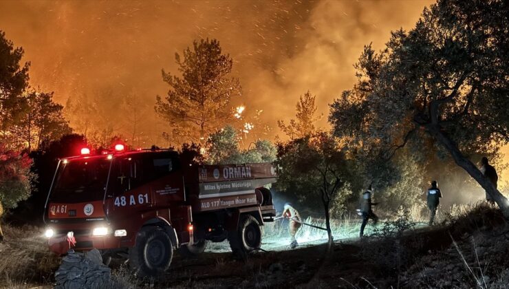 Türkiye’nin Ciğerleri Yanıyor: Yangınlara Müdahalede Son Durum