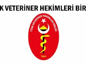 Tvhb: Sokak Hayvanları Düzenlemesi Hayvan Vefatlarını Artırıyor