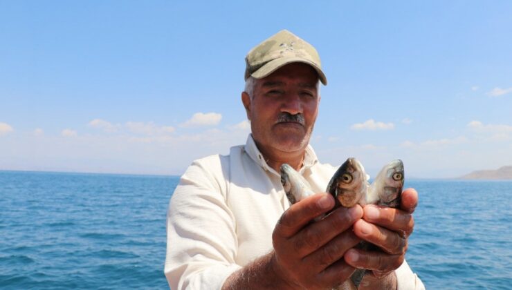 Van Gölü’ndeki İnci Kefali 15 Bin Kişinin Geçim Kaynağı Oldu