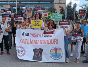 Yaşam Hakkı Savunucularından AYM Önünde Eylem: ‘Bu Katliam Yasası Legal Değildir’