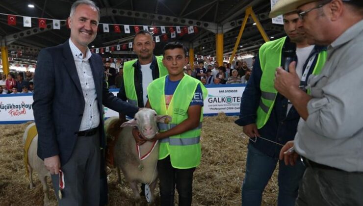 Yerli Tavuk Irkları ile Koçlar İnegöl’de Podyuma Çıkacak