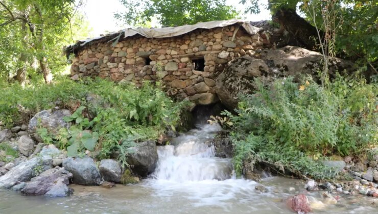 155 Yıllık Su Değirmeni, Kuşaktan Nesile Devam Ediyor