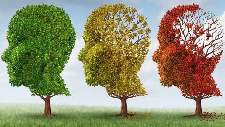 2050’de Alzheimerlı Hasta Sayısı 139 Milyonu Bulabilir