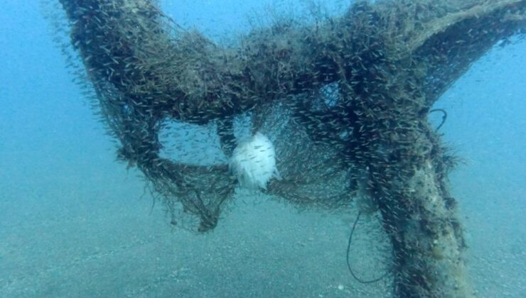 Antalya’da Trol Ağları Kalamar Kuşağını Riske Atıyor