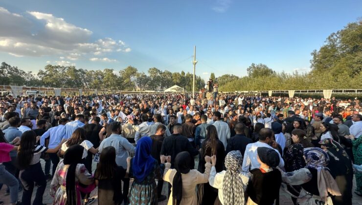 Aşiret Şenliğine 20 Bin Kişi Katıldı, 300 Koyun Kesildi