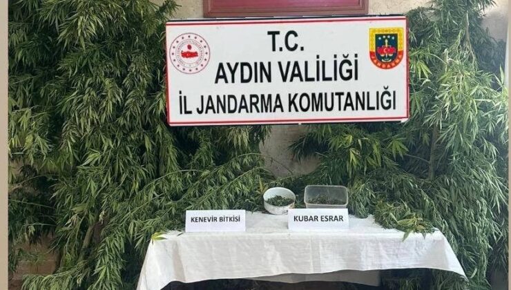 Aydın’da Uyuşturucu Operasyonu: Bir Kişi Gözaltında