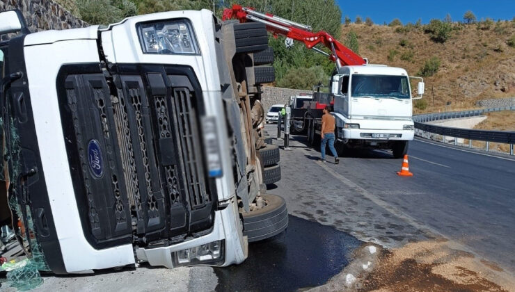 Bitlis’te Devrilen Tır’ın Dorsesindeki 100’e Yakın Koyun ve Keçi Öldü