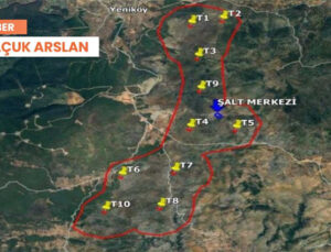 Bodrum’da Yanan Ormanlara Res Yapılacak: Süreç Başladı