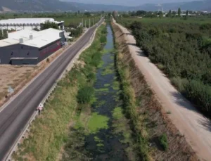 Bursa’da Sulama Kanalları Kurudu, Balık Ölümleri Başladı, Şeftali ve Armut Kuruyor