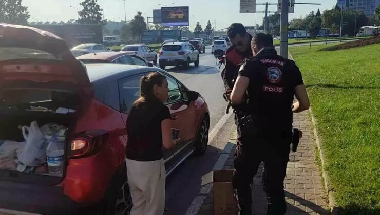 Bursa’da Yavru Kedi Trafiği Karıştırdı, Polis Kurtardı