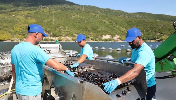 Carrefoursa, Su Ürünleri Kategorisinde Liderliğini Arttırıyor