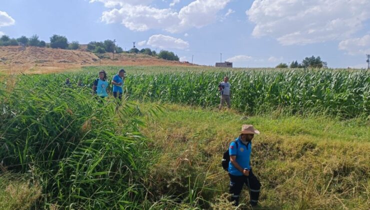 Diyarbakır’da Kaybolan Küçük Narin 14 Gündür Aranıyor