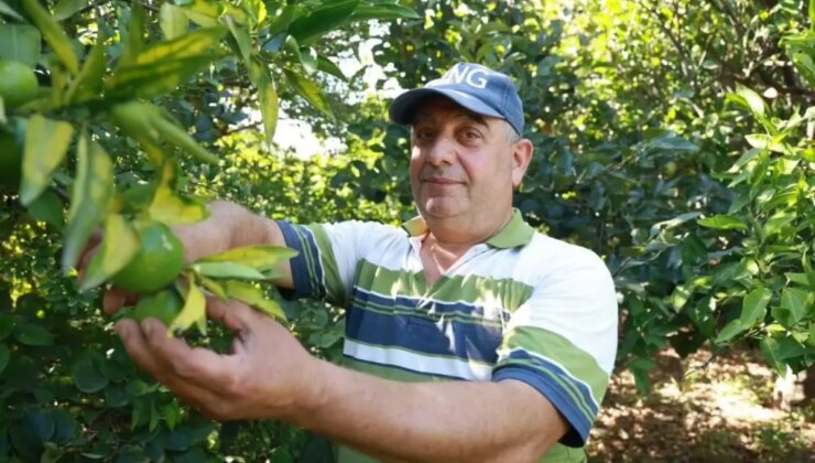 Günlük Karı 1000 TL’ye Yükseldi! Bu Kesimde Çalışacak İşçi Kalmadı