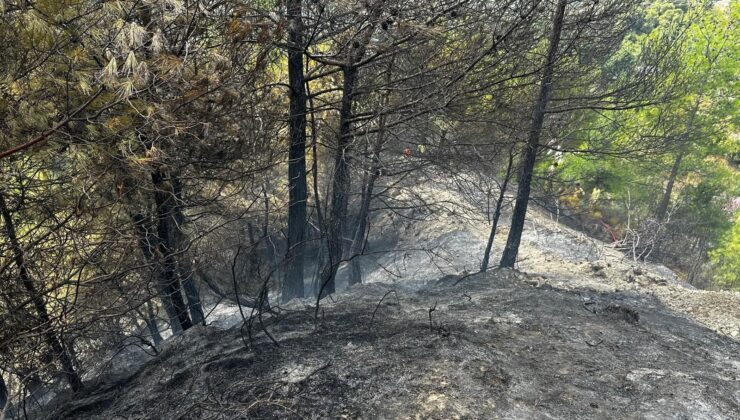 Hatay’da Çıkan Orman Yangını Söndürüldü